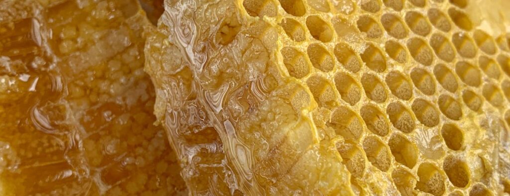 Detailed macro shot of fresh honeycomb dripping with golden honey, showcasing natural sweetness.