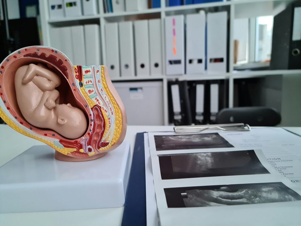 Alt text: A detailed anatomical model of a fetus inside the womb is placed on a table, with ultrasound images and paperwork, symbolizing Friday Health's focus on maternal health. In the background, rows of file folders can be seen.